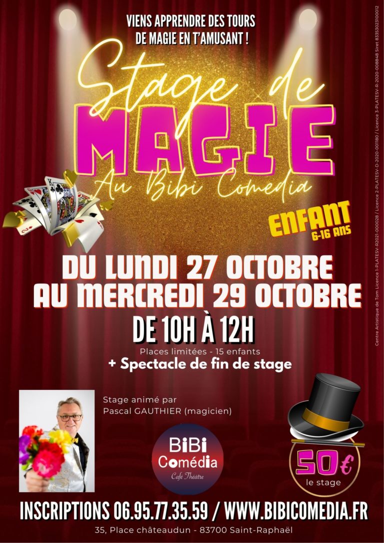 stage de magie octobre 2025